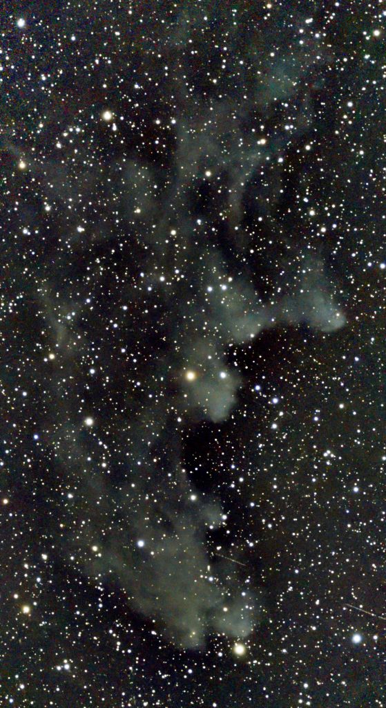 The Witch Head Nebula