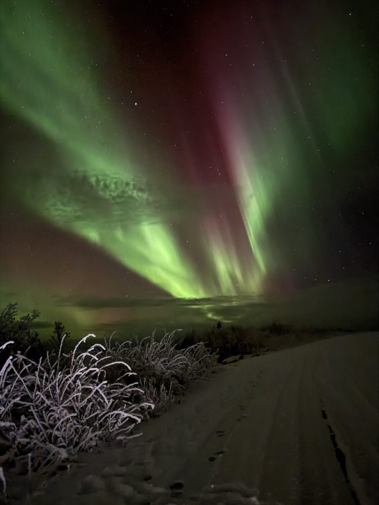 Northern Lights The Eagle Has Landed Fairbanks Alaska 9-29-2025